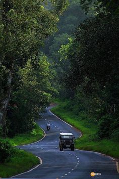 two cars driving down a winding road in the middle of the forest with trees on both sides