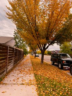 a black truck parked on the side of a road next to a tree with yellow leaves