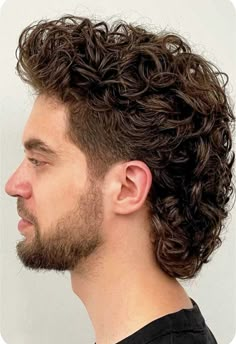 Mullet Ideas, Men Hair Cuts, Long Curly Hair Men, Guy Hair, Boys Hairstyles, Men's Cuts, Medium Length Curly Hair