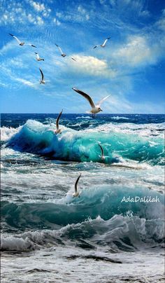 seagulls are flying over the ocean waves