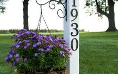 purple flowers are hanging from a sign in the grass