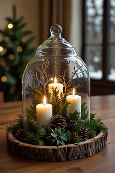 three candles are lit in a glass dome with evergreen and pine cones on the table