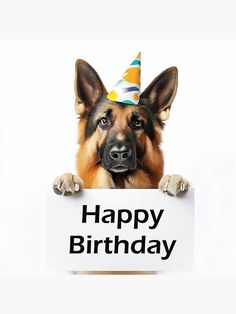 a german shepherd dog wearing a party hat holding a sign with the words happy birthday