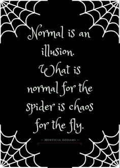 a spider web frame with the quote normal is an illusion what is normal for the spider is chaos for the fly