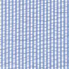 a blue and white checkered shirting fabric