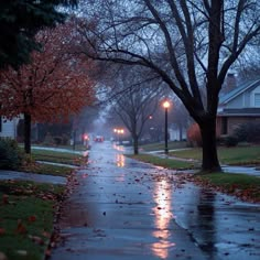 a rainy street with trees and houses in the background