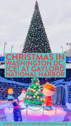 a christmas tree with the words merry christmas in washington dc and new york, n y