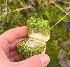 a person holding an open ring box in their hand with plants growing out of it