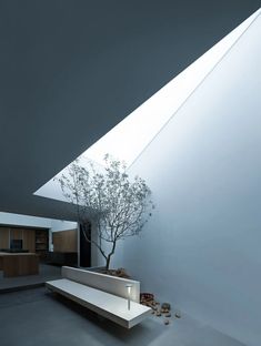 a tree in the middle of a room with a skylight above it and a bench below