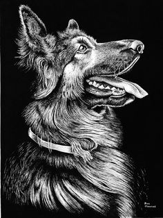 a black and white drawing of a dog