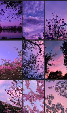 several different pictures of trees and the sky