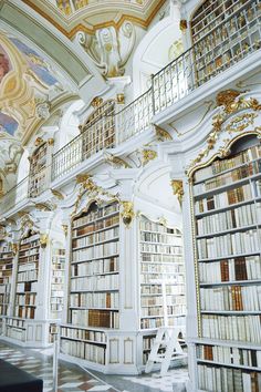 an elaborately decorated library with many bookshelves