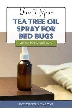 If you’re trying to get a handle on your bed bug problem, look no further than tea tree oil spray. Here’s How to Make Tea Tree Oil Spray for Bed Bugs and discuss some of the benefits it offers. Tea Tree Oil Spray, All Natural Cleaners, Natural Insecticide, Sinus Relief, Make Tea, Bed Bug, Natural Cleaners