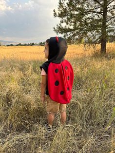 a little boy wearing a ladybug costume standing in a field with tall grass