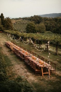 a long table is set up in the middle of a field for an outdoor dinner