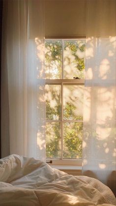 an unmade bed in front of a window with the sun shining through it's curtains