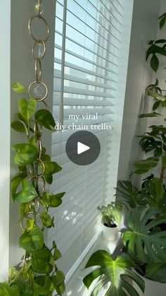 some plants are hanging from a window sill in front of a white wall with the words, my virtual diy chain trelliss