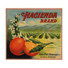 an advertisement for hagienda brand with two oranges and flowers on the front