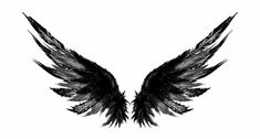 black and white wings on a white background