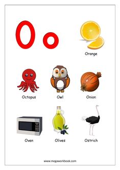 the letter o is for orange and an owl, an ostrich, an onion, an octopus