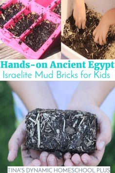 hands - on ancient egypt activities for kids to learn how to plant and use them