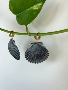 Our solid black scallop earrings vary if you look closely. They're the chicest version of "beachy". Shell length: 1 3/4" Earring base: stainless steel, gold plated *Shells are all different and may vary slightly Shell Earrings Diy, Picnic Crafts, Mermaid Core, Ocean Inspired Jewelry, Seashell Earrings, Scallop Shell, Ocean Inspired, Shell Necklace, Shell Art