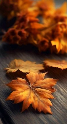 some leaves are laying on a wooden table