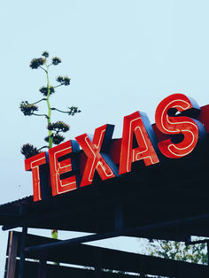 the word texas is lit up on top of a building with a plant growing out of it