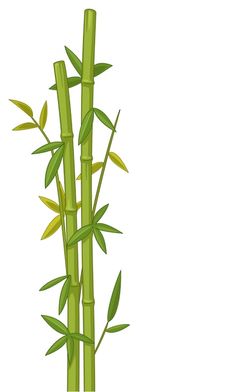 a tall bamboo plant with green leaves