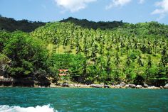 a lush green hillside covered in palm trees next to a body of water with a boat passing by