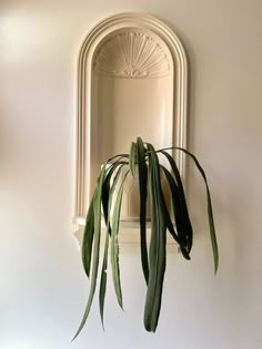 a plant is hanging on the wall next to a mirror with an arch above it