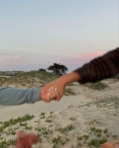 two people holding hands in the sand with trees in the background and pink sky behind them