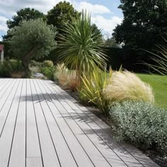 a large wooden deck surrounded by plants and grass in a garden area with trees, shrubs, and other greenery