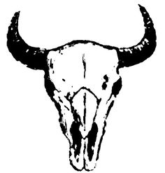 a bull's skull with long horns