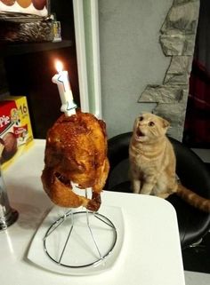 a cat sitting next to a turkey on a table with a lit candle in it