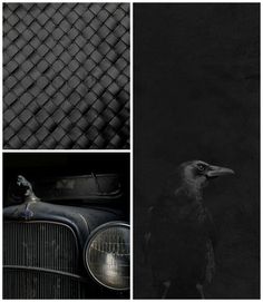 black and white photograph of an old car with a crow on the front grills