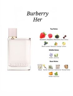 Parfum Gucci, Burberry Her, Burberry Perfume, Perfume Organization