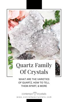 Quartz Family of Crystals Types Of Quartz Crystals, Gemstones Chart, Gem Silica, Smoky Topaz, Things Under A Microscope, Topaz Stone