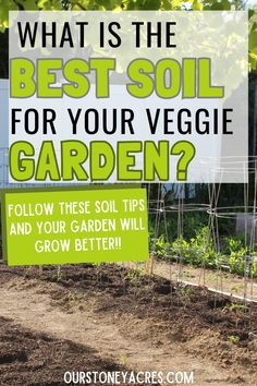 what is the best soil for your veggie garden? follow these tips and your garden will grow better