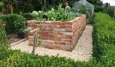 a brick garden wall in the middle of a vegetable garden with plants growing on it