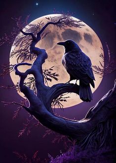 Skull Raven Gothic Poster Crow Moon Wall Art-MoonChildWorld Witchcraft Poster, Dark Witch Aesthetic, Crow Moon, Witch Wall Decor, Art Witchcraft, Witch Poster, Witchy Wall Art, Gothic Poster, Witchy Room