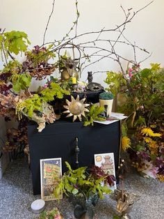 an assortment of flowers and plants are on display