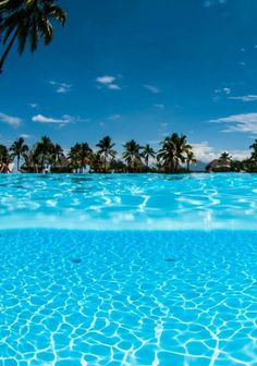 an empty swimming pool with palm trees and blue water in the foreground, under a partly cloudy sky