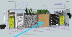 the diagram shows different types of plants and rocks in an open area with labels on each side