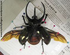 a large insect sitting on top of a piece of paper with lots of colorful beads