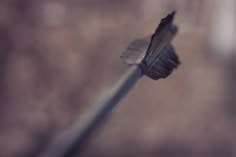 a close up of a toothbrush with a black bristles on it's tip