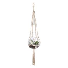 a hanging planter with plants in it