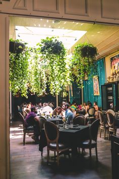 people sitting at tables in a restaurant with plants hanging from the ceiling