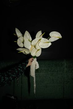 a person holding a bunch of white flowers in their hand with the light shining on them