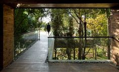 there is a person walking down the wooden walkway in front of a window that looks out onto the woods